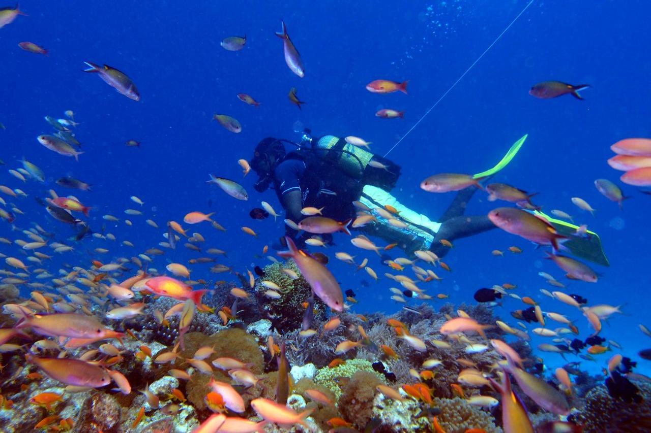 Sunshine Marine Lodge Matemwe  Luaran gambar