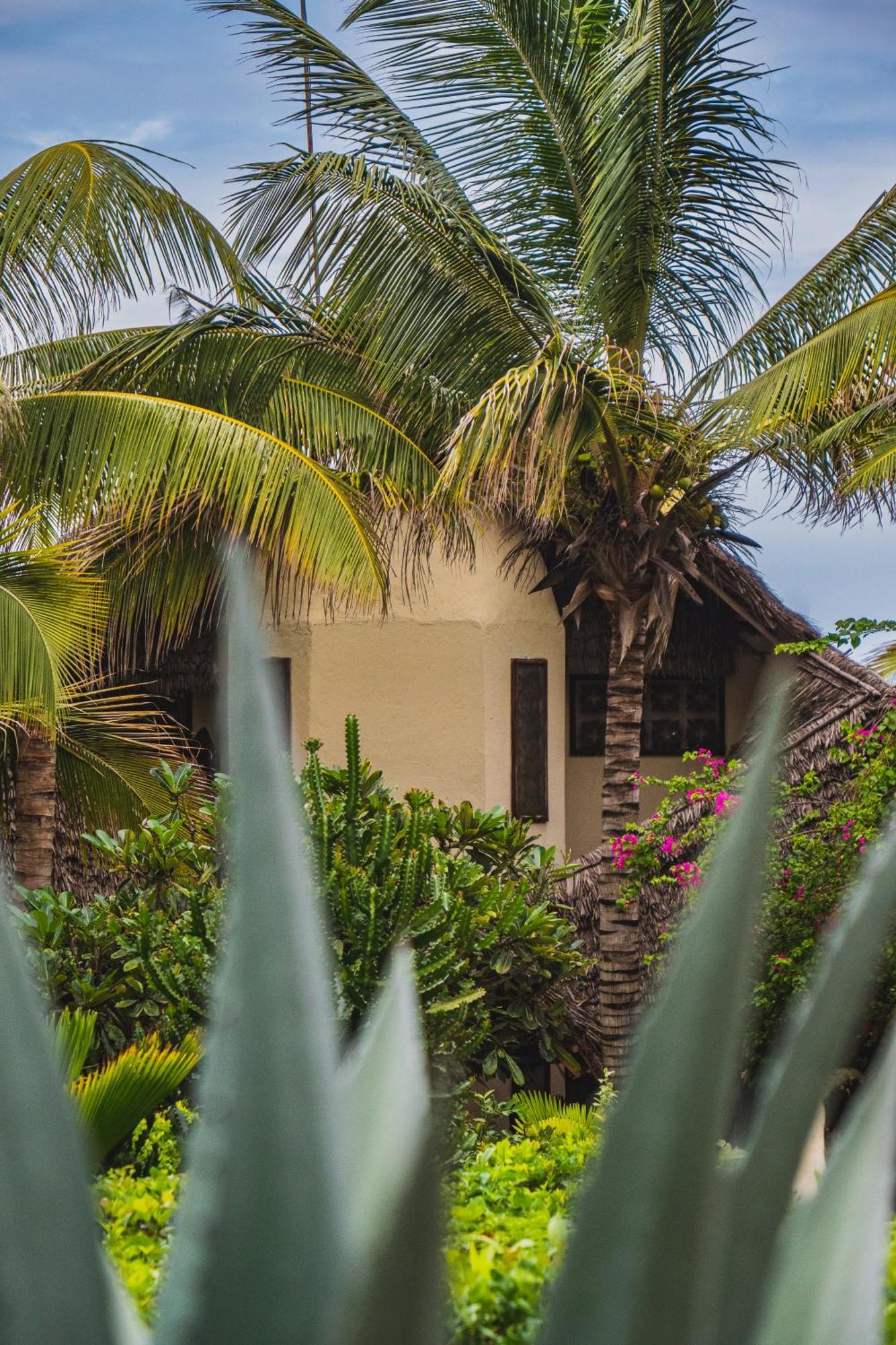 Sunshine Marine Lodge Matemwe  Luaran gambar